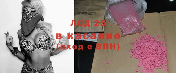 сатива Алзамай
