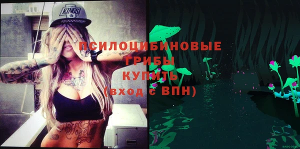 МДПВ Алексеевка