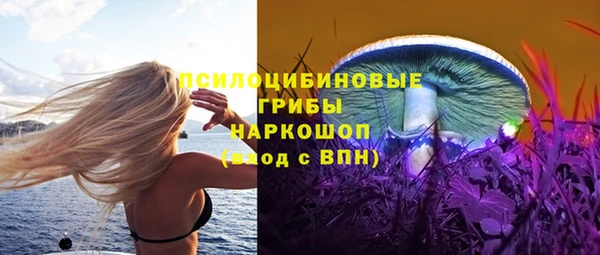 сатива Алзамай