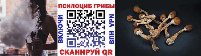 Галлюциногенные грибы мицелий Черноголовка